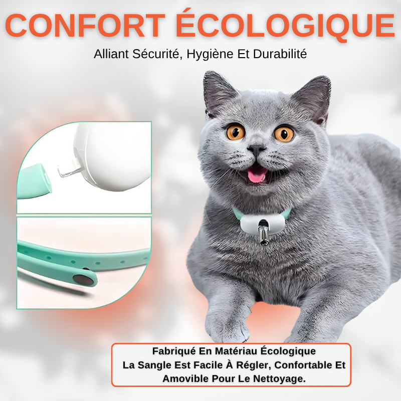 Collier Laser Pour Chat Automatique