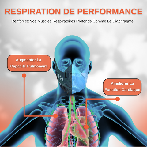Simulateur d'Altitude Intense