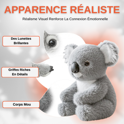 Peluche Koala Apaisante