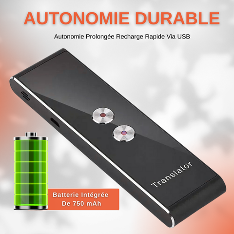 Traducteur Portable Vocal