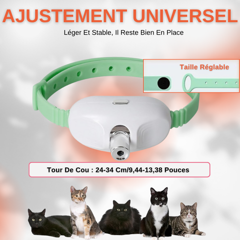 Collier Laser Pour Chat Automatique