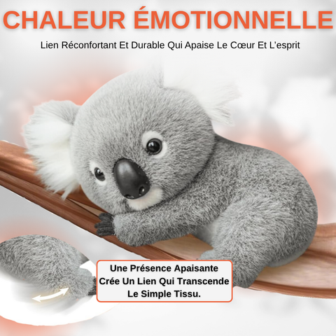 Peluche Koala Apaisante